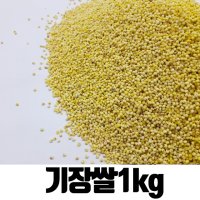 밥보야 수입 기장쌀 찰기장 1kg