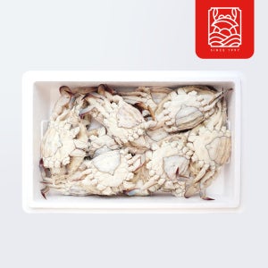 봄 몽당 암꽃게 - 연평도 서해꽃게 다리없어도 맛은 좋다