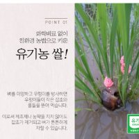 유기농 배아미,백미,오분도미,쌀눈이 살아있는 국내산 쌀5kg