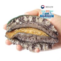 완도 활전복 1kg (국산 양식) 7미-60미 전복