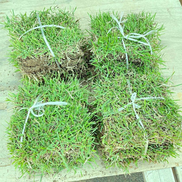 고급 천연 산소 강아지 잔디 정원 마당잔디 18cmX18cm 25장
