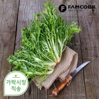 가락시장직송 치커리 1.8-2kg