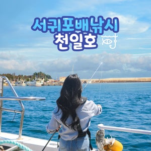 제주 서귀포배낚시 천일호 / 제주도 배낚시 체험 주간 야간 바다 여름 이색데이트 갈치