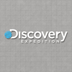 디스커버리 스티커 데칼 캠핑 차량용 방수 1번 흰색 하늘색 15cm x 3.1cm