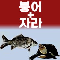 [동성탕제원]운동선수보양식 110m 120포 붕어+자라엑기스(진액 )좋은재료 직접제조