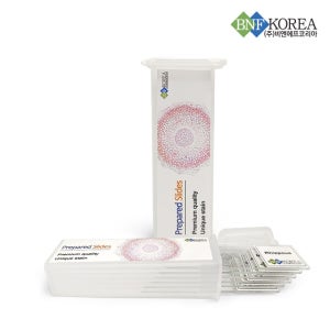 프레파라트 6종 (곰팡이)