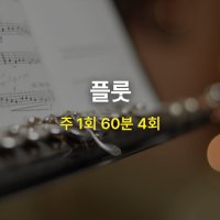 [MCMI 음악학원 분당] 플루트 클래스 / 한달 4회권 / 1:1 개인 레슨