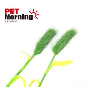 펫모닝 강아지풀 (PMC-369)