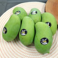 태국 그린 망고 (Thailand Vietnam Green Mango)