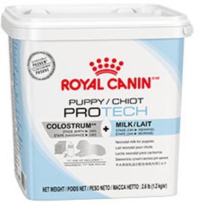 로얄캐닌 퍼피 프로테크 300g (초유/분유)