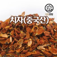 치자 중국산 300g