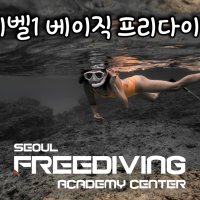[서울프리다이빙아카데미센터] PADI 베이직프리다이버 (레벨1) 과정 강습