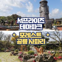 제주 서프라이즈테마파크+포레스트공룡사파리 / 제주도 아이와 갈만한 곳