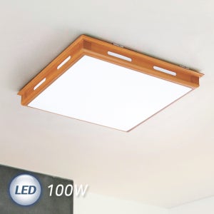 LED거실등 LED 아방궁 거실등 100W
