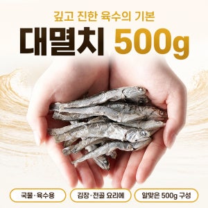 [금복식품] 대멸치 500g, 1개