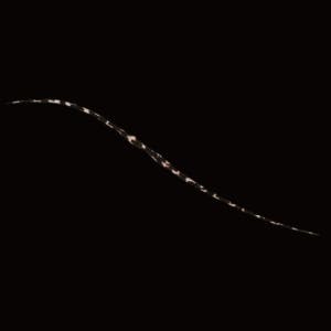 쟈칼 빈빈옥 T+넥타이 세미컬리 F006