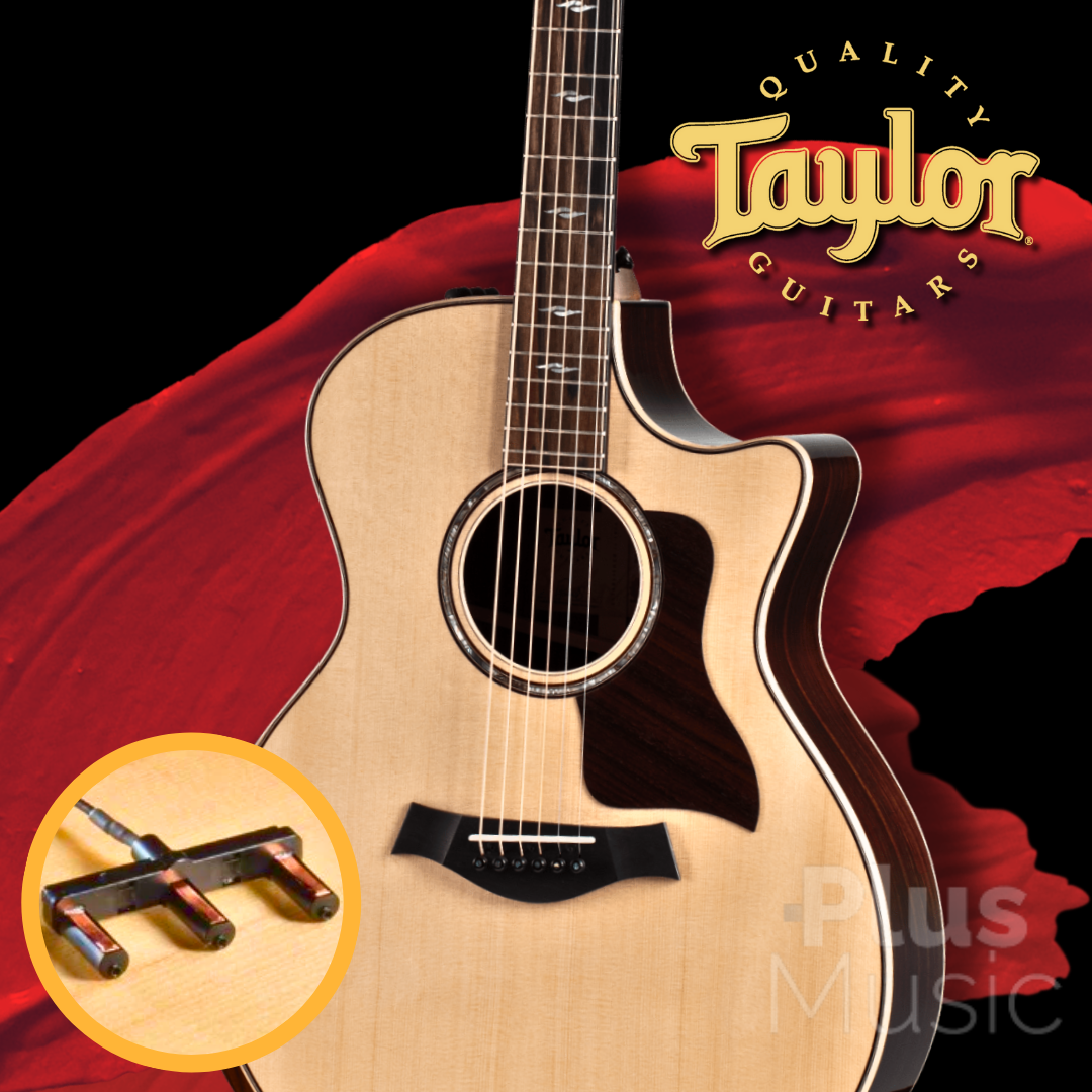 Taylor 814ce Acoustic Guitar (테일러 814ce 어쿠스틱 기타)