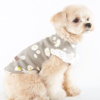 엔돌펫 엔젤 티셔츠 그레이 강아지옷 애견의류 강아지여름옷