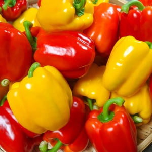 [농장직송] 국내산 못난이 특품 햇 파프리카 피망 1kg 5kg 10kg