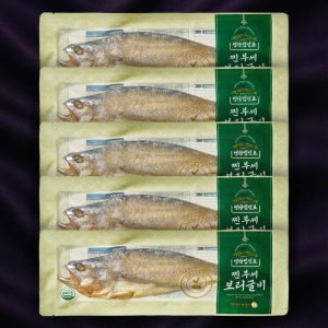 성광수산 영광 법성포 찐 보리굴비 특대 5마리 완벽손질 선물세트