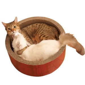 가리가리 빅써클