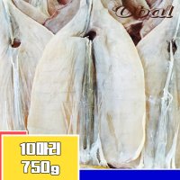 오발 마른오징어 10마리 750g (1.5kg) 진공패키지