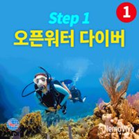 PADI 오픈워터 스쿠버다이빙 자격증 코스