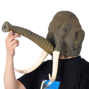 (오가와)리얼맘모스가면