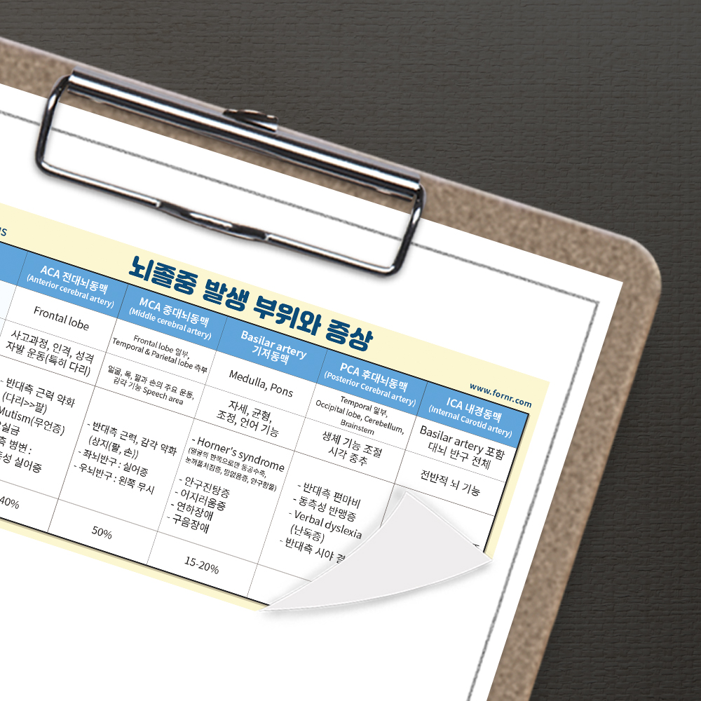 뽀너스 간호지식스티커 (<b>뇌졸중</b> 발생부위와 증상)