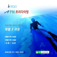 [APN프리다이빙 서울/경기]프리다이빙중급강습,프리다이빙AIDA3레슨,프리다이빙레벨3교육