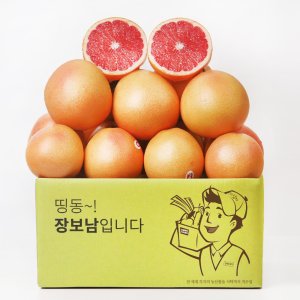 자몽 최저가 가성비상품