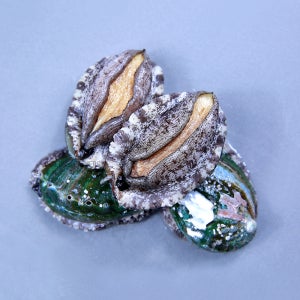 완도 전복 대사이즈 11-12 1kg, 산지직송, 청산도전복, 횟감용 버터구이용