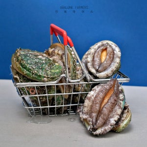 완도전복 , 중사이즈 20-22미 1kg, 해수산소포장, 청산도전복, 산지직송