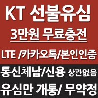 유심개통 /한국칩 /KT 알뜰폰 선불카드 /무약정 LTE 심 구매 외국인 데이터 유심