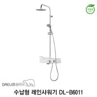 대림바스 DL-B6011 수납형 레인샤워기 토수구형