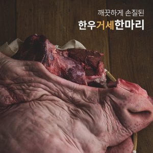 우설 최저가 가성비상품