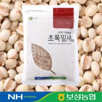 2022년 국산 율무 통율무 500g / 1kg 보성농협 초록잎새