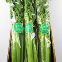 셀러리 샐러리 1kg 국산 1봉 1단 celery