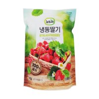 뉴뜨레 냉동딸기 무가당 홀 10kg(1kgx10) / 국산 중국산 논산 가당