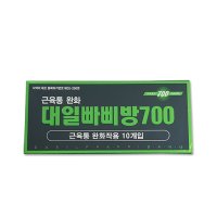 대일빠삐방 700 의료용 자기발생기 파스 10개입