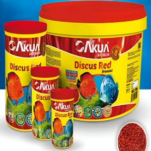 ART 디스커스 레드 100mL