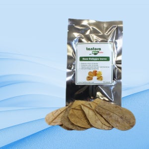 베타 알몬드잎 탄토라 알몬드잎 나노 15장 1셋