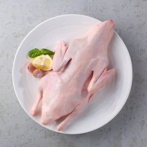무항생제 친환경 1등급 신선 통오리