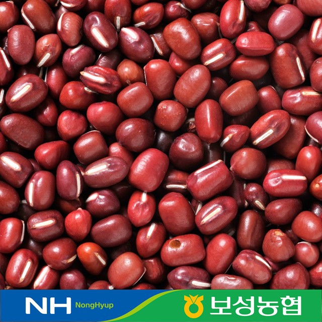 2024년 국산 팥 적두 1kg / 500g 보성농협 초록잎새