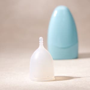 이브닝 프림로즈컵 가성비 생리컵 스타트컵으로 좋은 초보입문자 월경컵