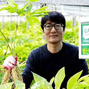 (1125) 금산인삼 600g 한뿌리 2000원꼴 무료세척 서비스 20% 추가증정