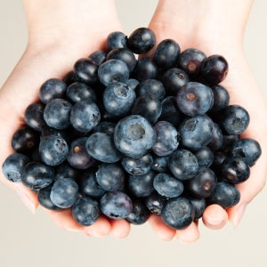 국산 국내산 유기농 블루베리 1kg 친환경 무농약