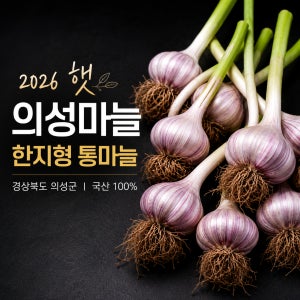 2026 햇 의성마늘 한지형 통마늘 저장마늘 1kg 3kg 특품 대품 중품 실속형