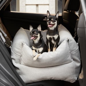 펫토 알러프리 카시트 강아지 고양이 드라이빙킷 M