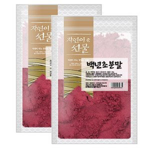 백년초가루 최저가 가성비상품